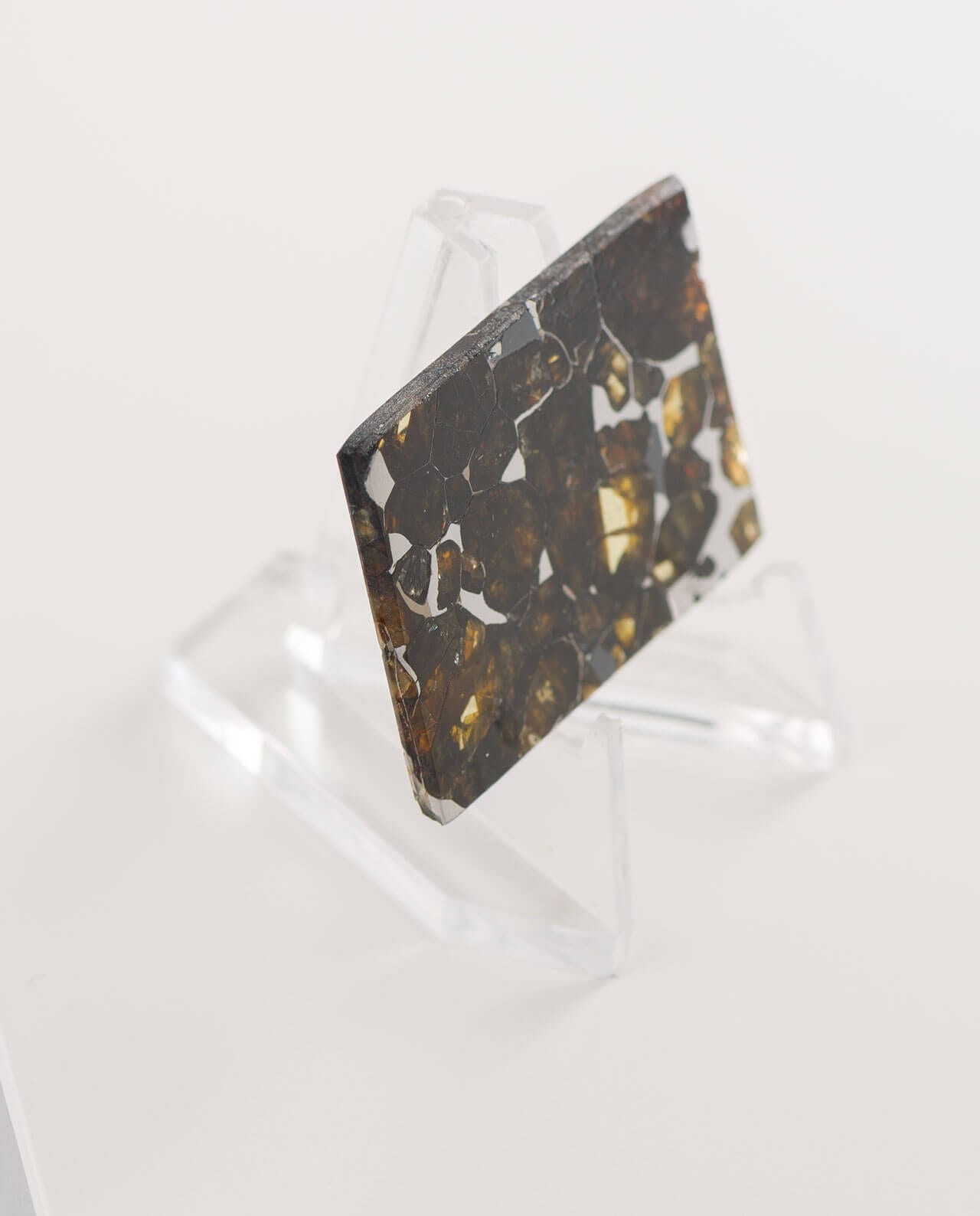 CONLIGHT Seymchan Pallasit Meteorite Iron 2E